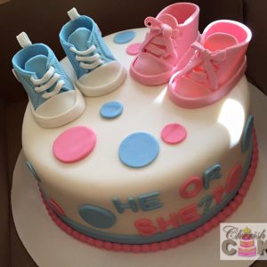 Gender Reveal Party Theme